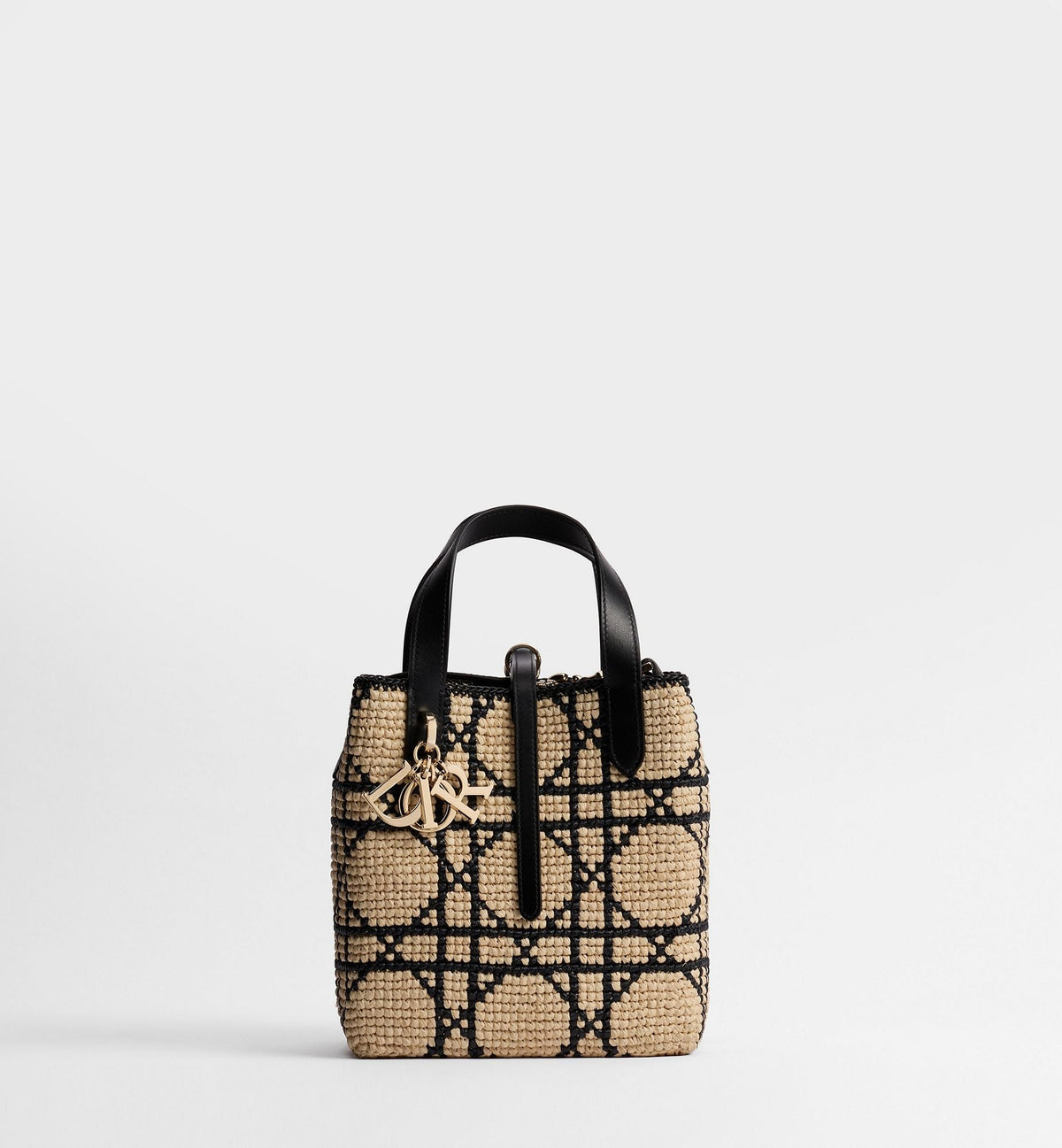 Small Toujours Vertical Tote Bag