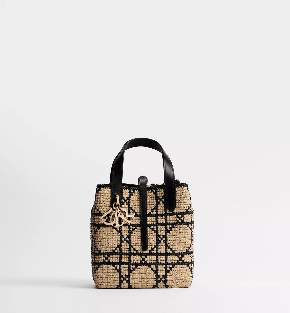 Small Toujours Vertical Tote Bag