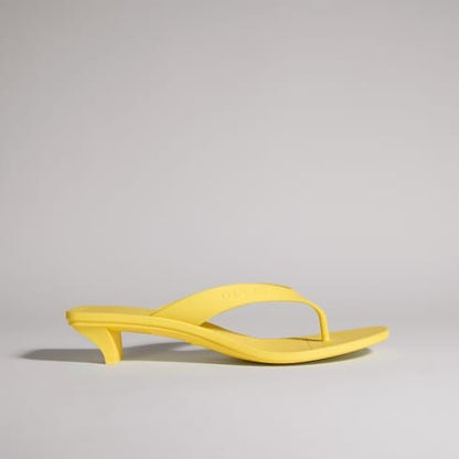 Women's Vittoria Thong Sandal